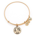 Bracelet de mode Frendship Stars Alex et Ani Bangle (XBL13352)